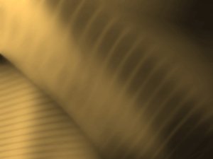 市场消费中如何辨别品质与噱头
